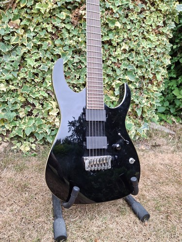 Ibanez rgir20fe iron label - rgir20fe,