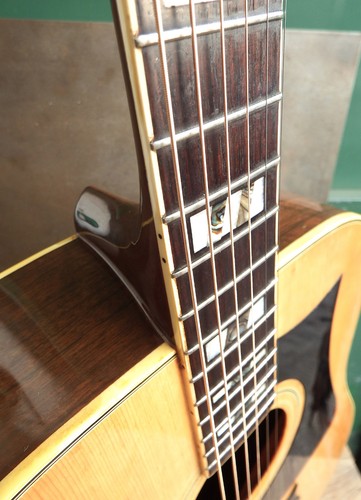 Beautiful ibanez artist - beautiful,