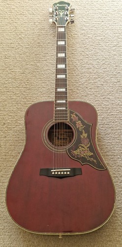 Vintage 1983 ibanez f310cw - ibanez,