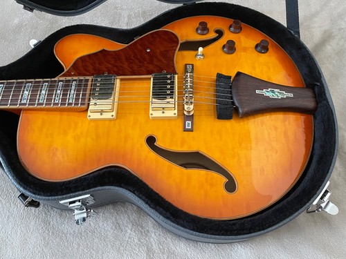 Ibanez artcore af125 with hard - artcore,