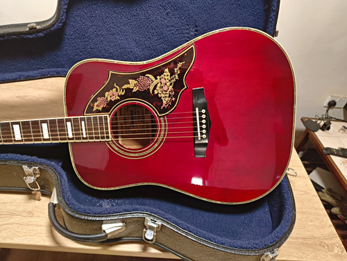 Stunning rare ibanez f310 - stunning,