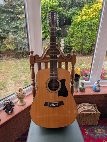 Ibanez series 12 string - ibanez,